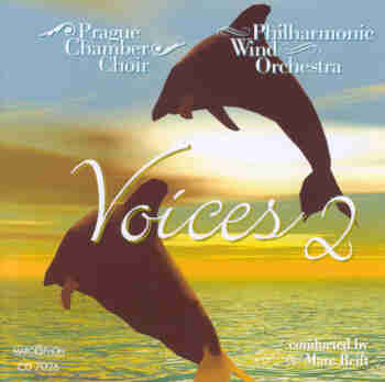 Voices #2 - clicca qui