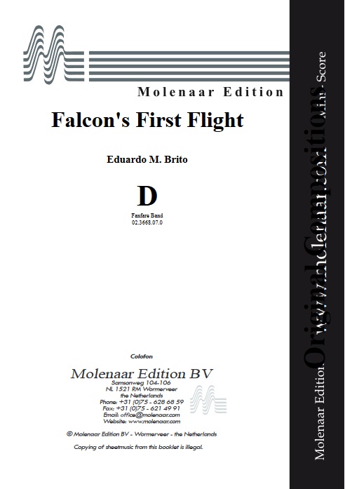 Falcon's First Flight - clicca qui