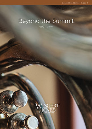 Beyond the Summit - clicca qui