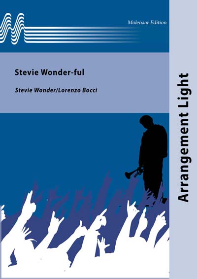 Stevie Wonder-ful - clicca qui