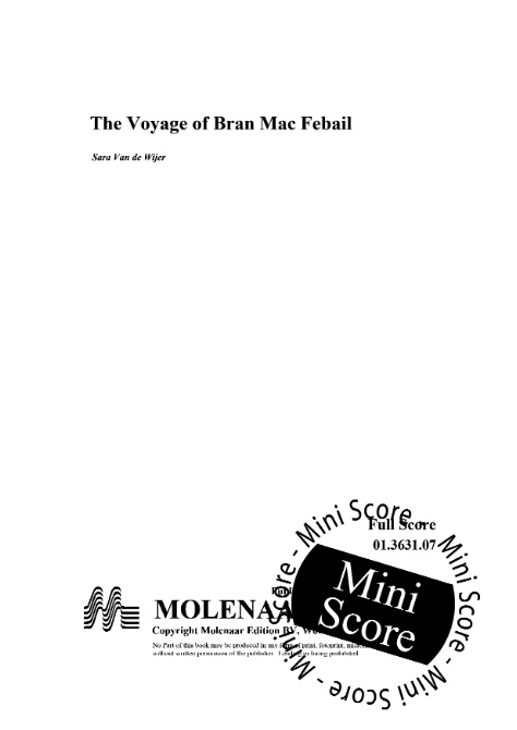 Voyage of Bran Mac Febail, The - clicca qui