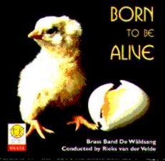 Born to be Alive - clicca qui
