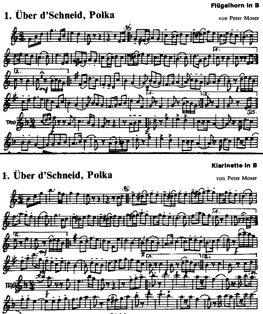 Tiroler Volksmusikblätter #15/1 (Aus dem Musiziergut der Kirchtagmusig) - Esempio di spartiti